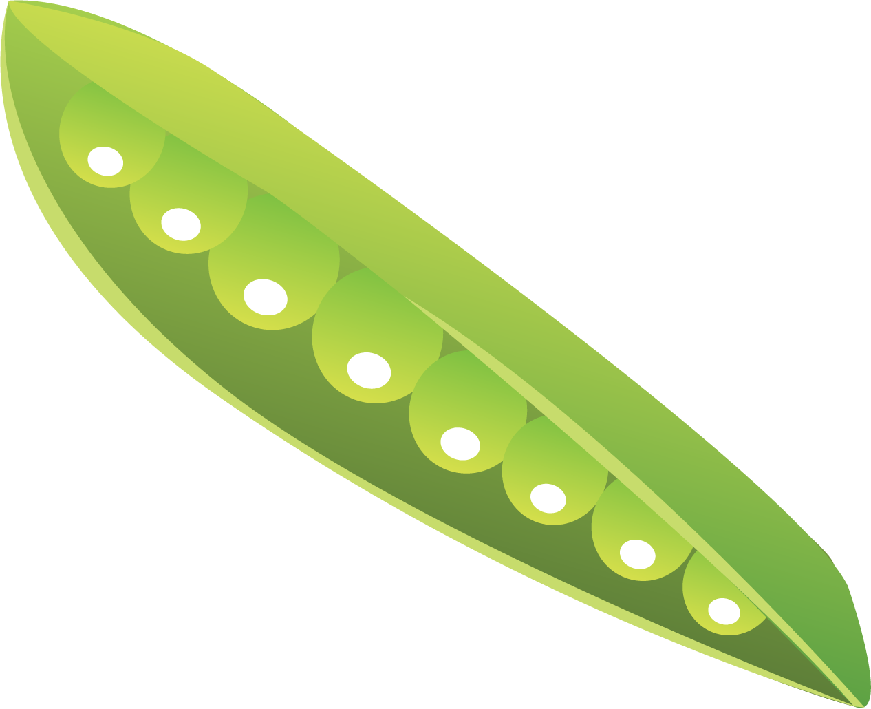 Green Pea Pod Illustration PNG