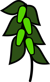 Green Peapod Icon PNG