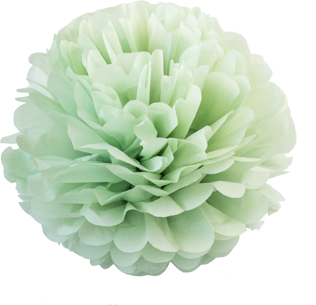 Green Peonies Floral Background PNG