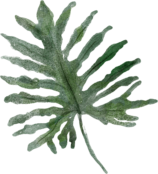 Green Philodendron Leaf Texture PNG