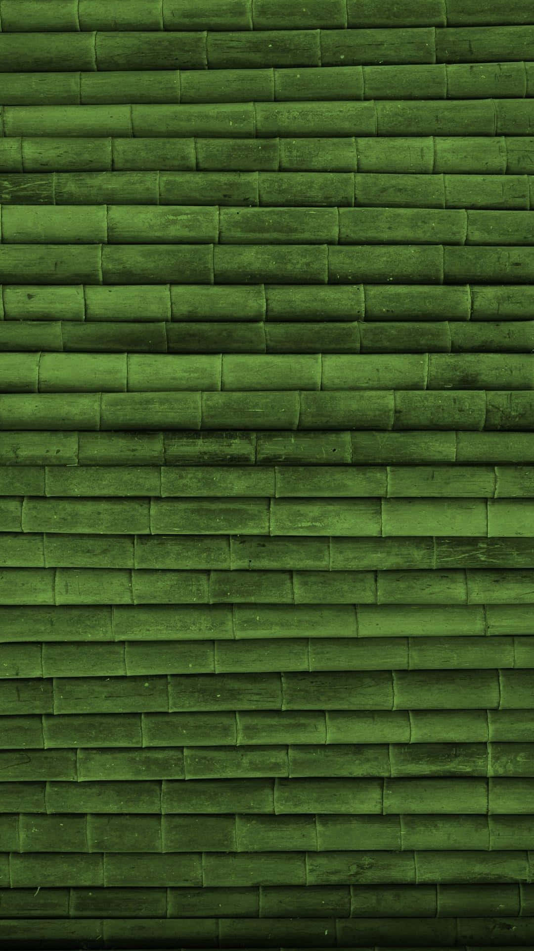 Bambus vægbaggrund - stock foto Wallpaper