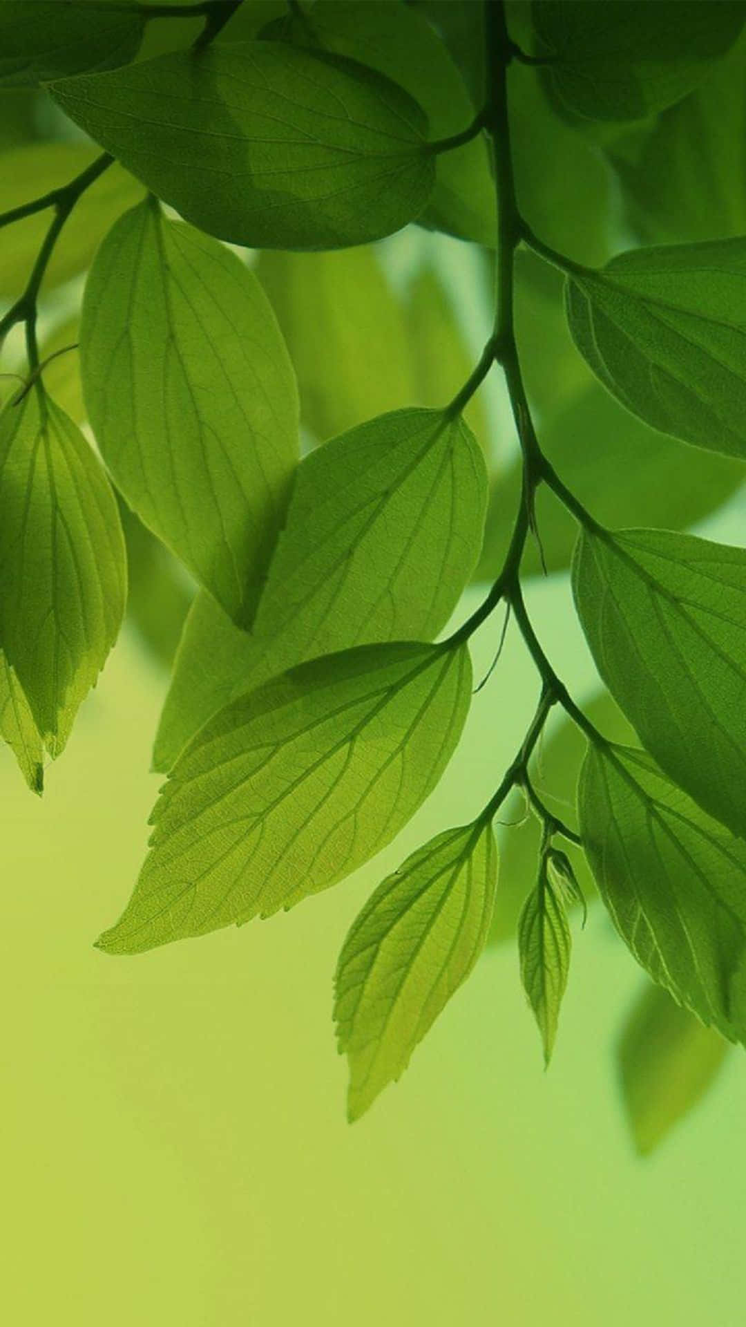 Eco-friendly smartphone on green leaf background