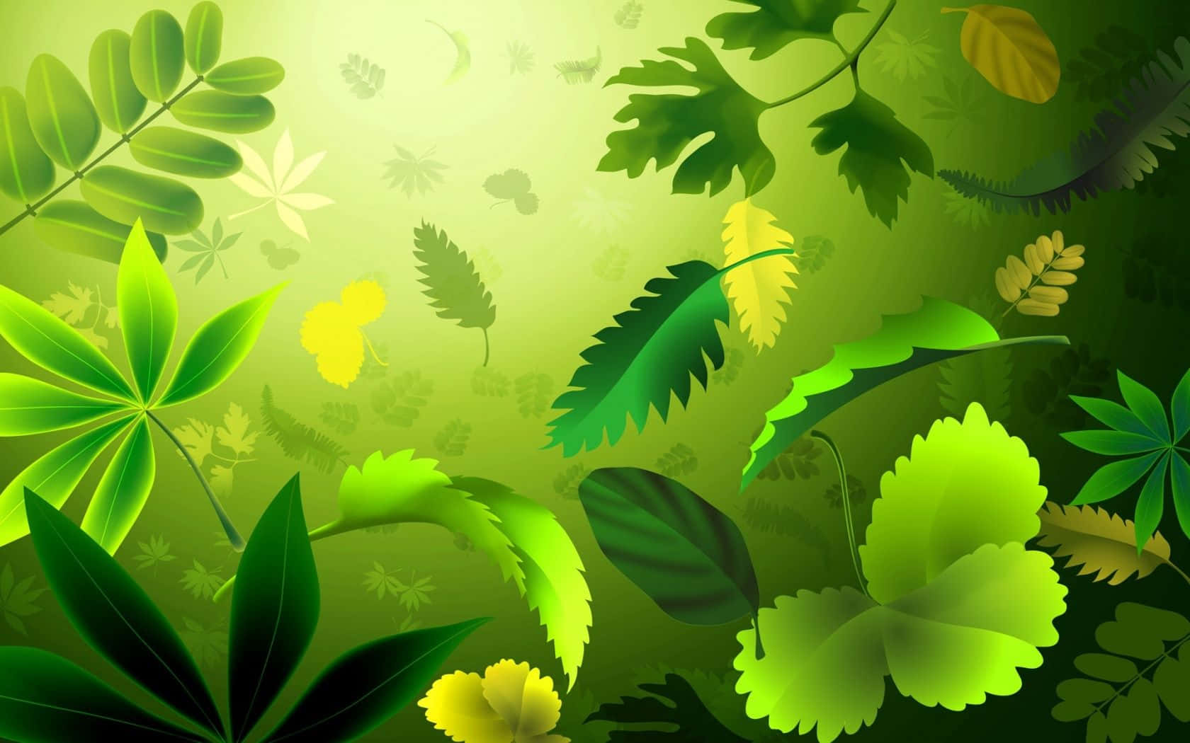 Green Leaves And Leaves In The Background Wallpaper