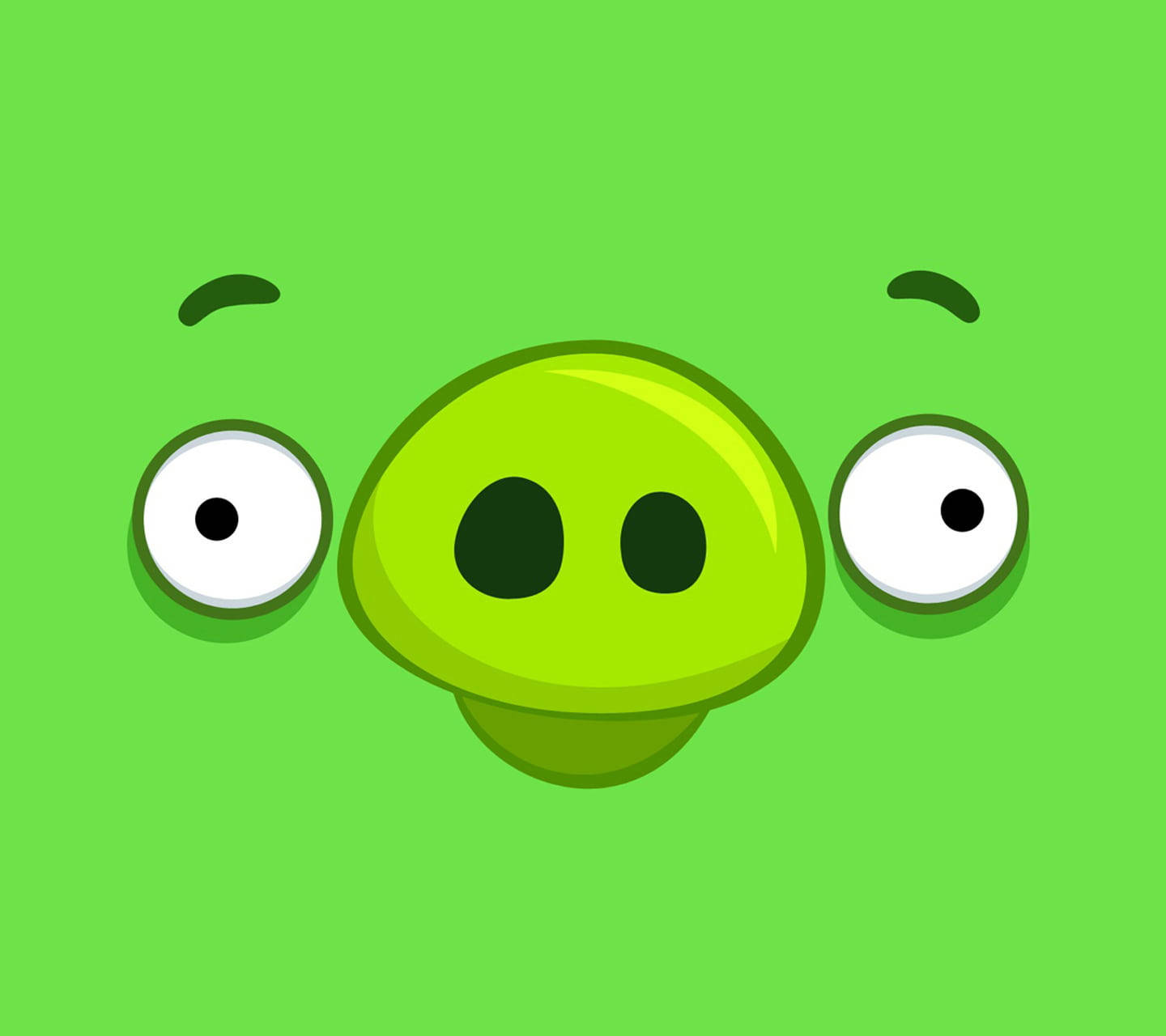 Green Piggy Face From Angry Birds Wallpaper