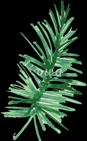 Green Pine Branches Illustration PNG