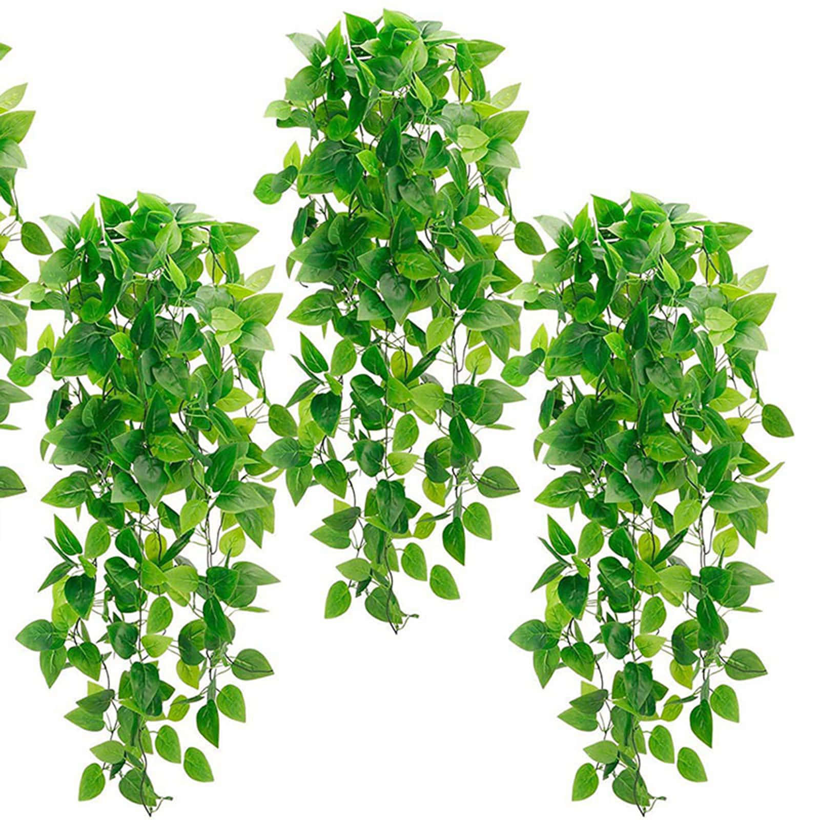 Lush and Vibrant Green Plant Wallpaper