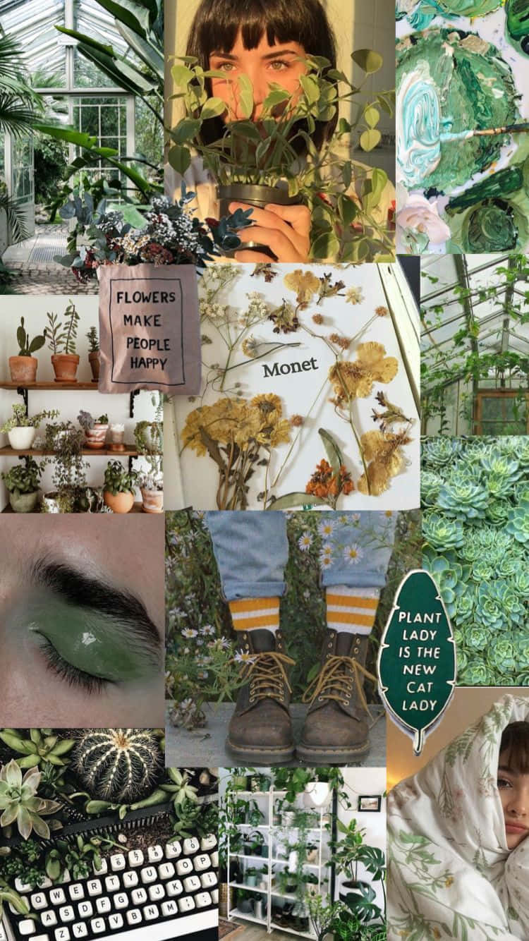 Green Plant Aesthetic Collage Wallpaper