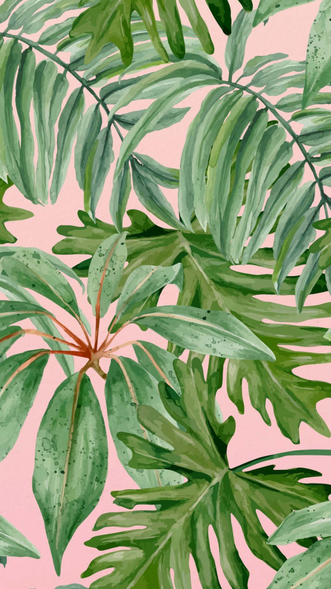Grünepflanze, Rosafarbenes Ästhetisches Design Wallpaper