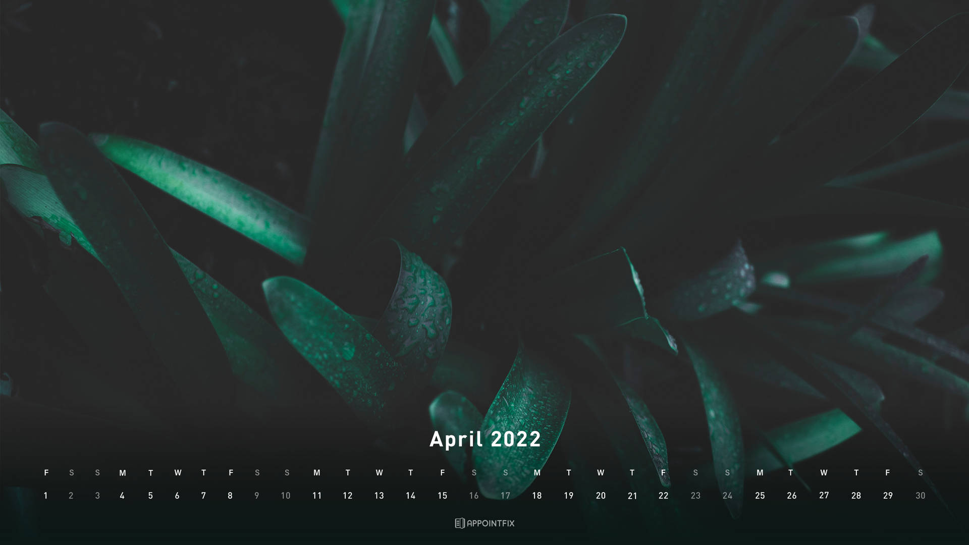 Green Plant April 2022 Calendar Background