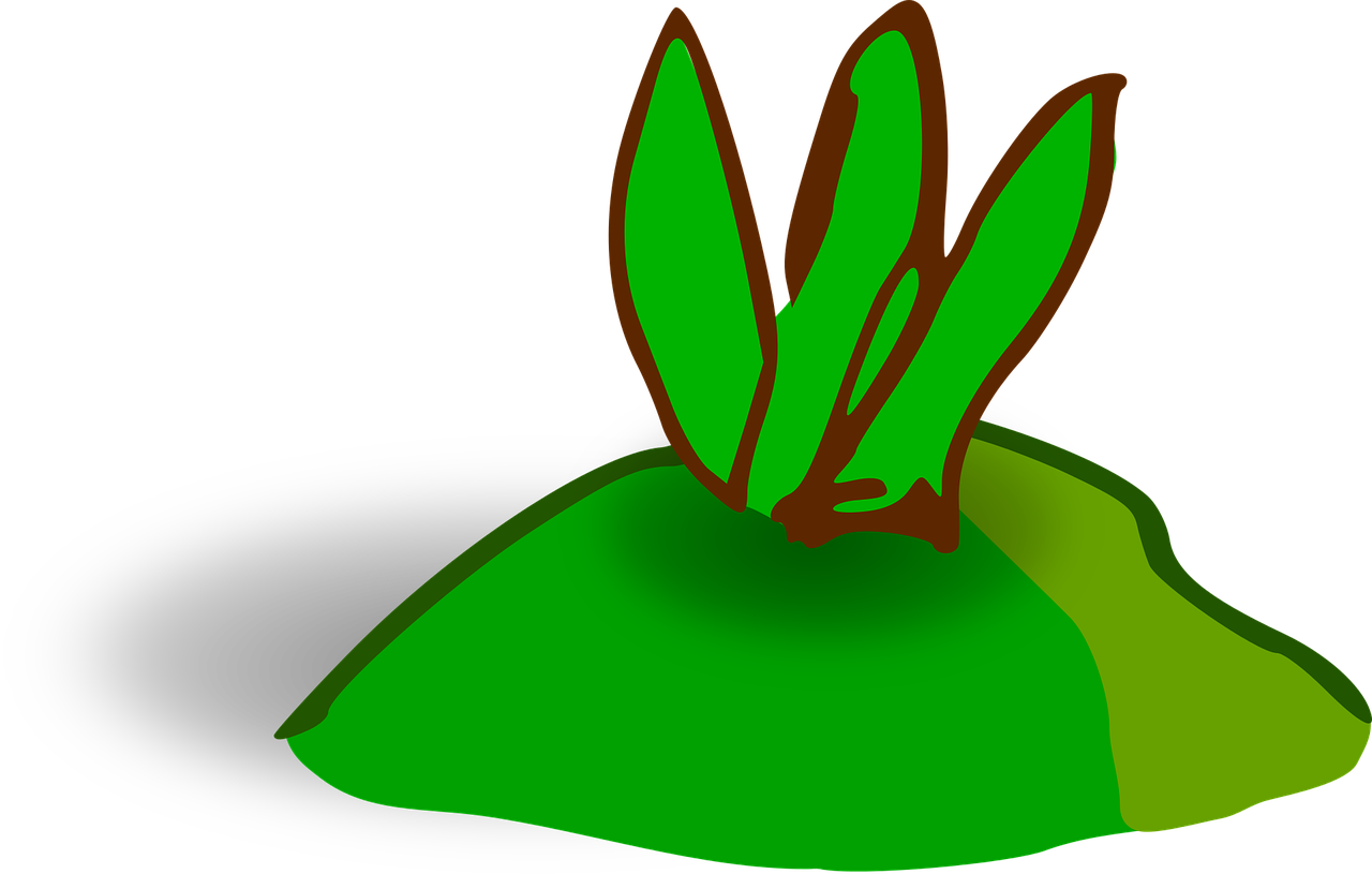 Green Plant Growing From Soil PNG