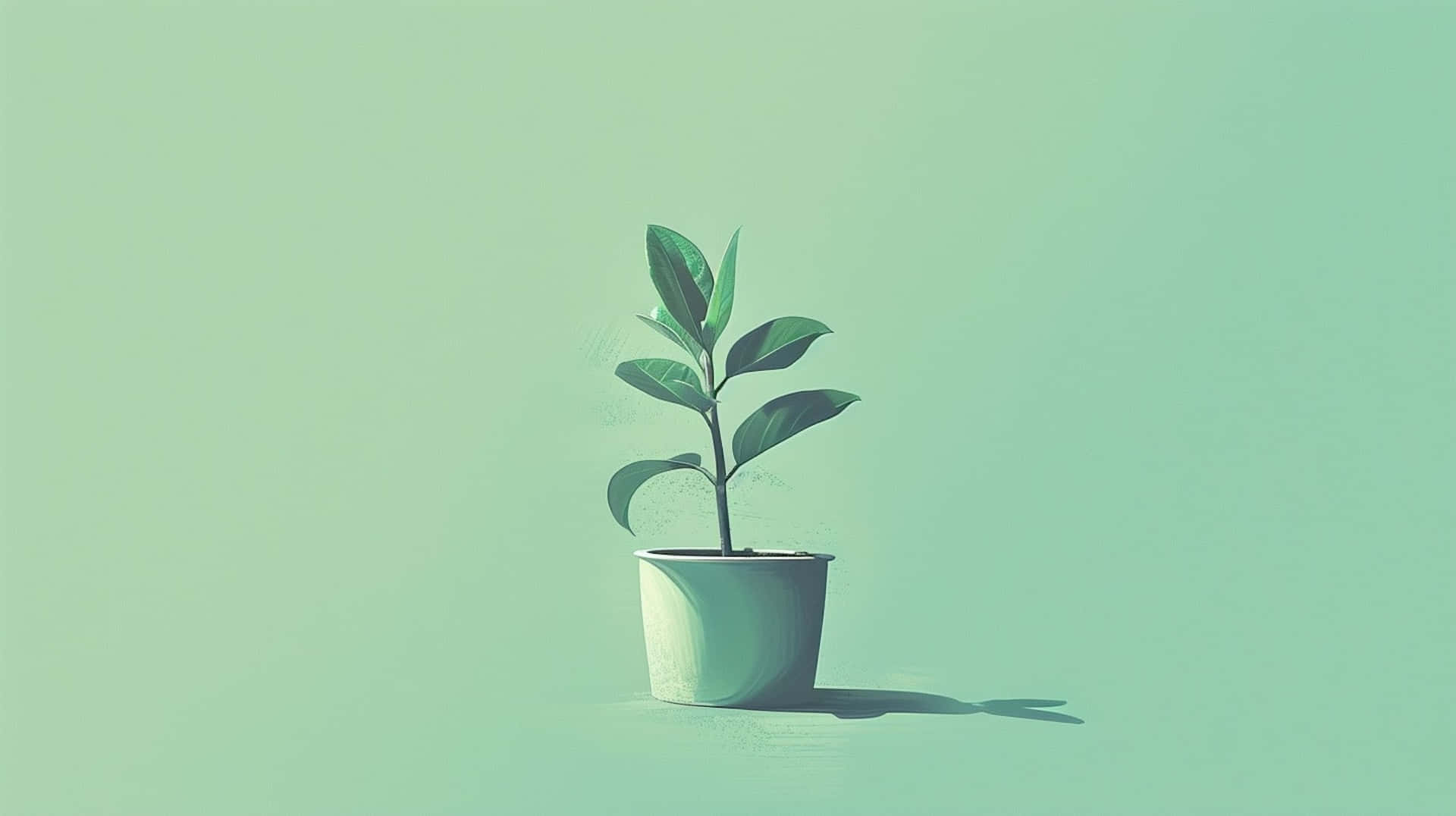 Green Plant Minimalist Aesthetic.jpg Wallpaper