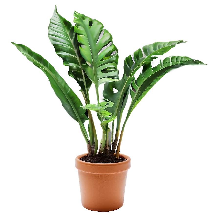 Green Plant Png 05032024 PNG