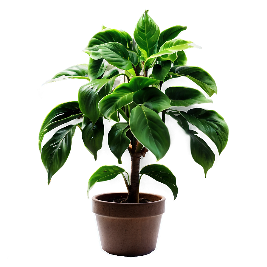 Green Plant Png Pid89 PNG
