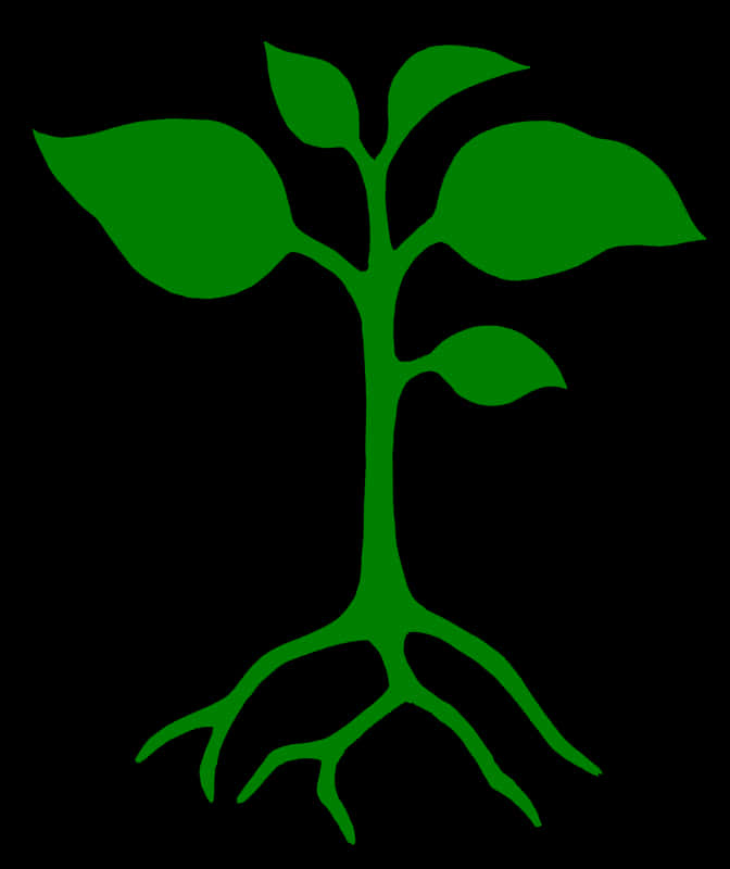 Green Plant Silhouetteon Black Background PNG
