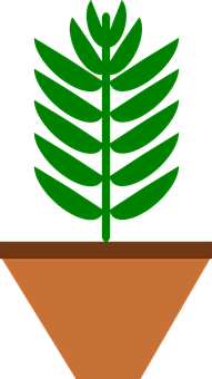 Green Plantin Brown Pot Vector PNG