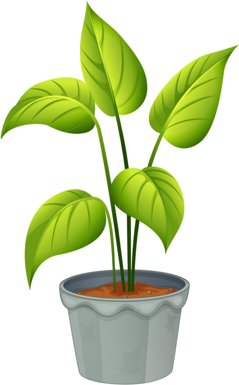 Green Plantin Decorative Pot PNG