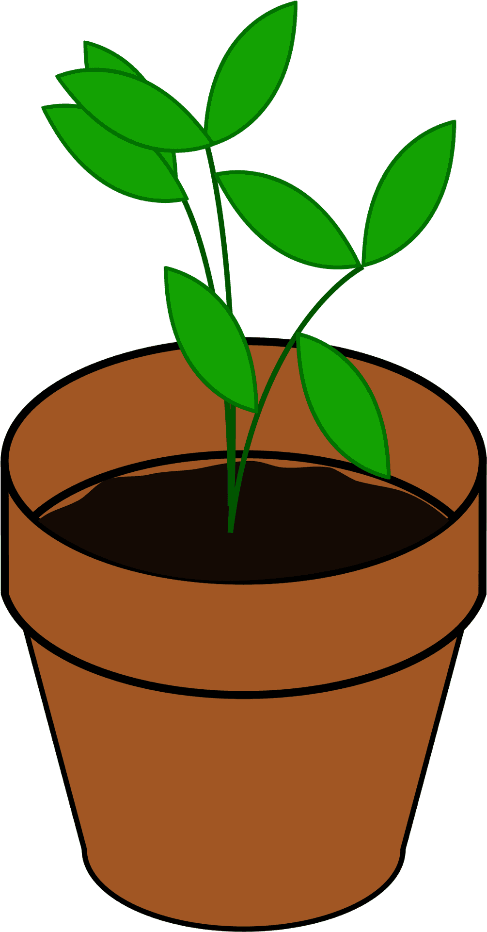 Green Plantin Terra Cotta Pot PNG