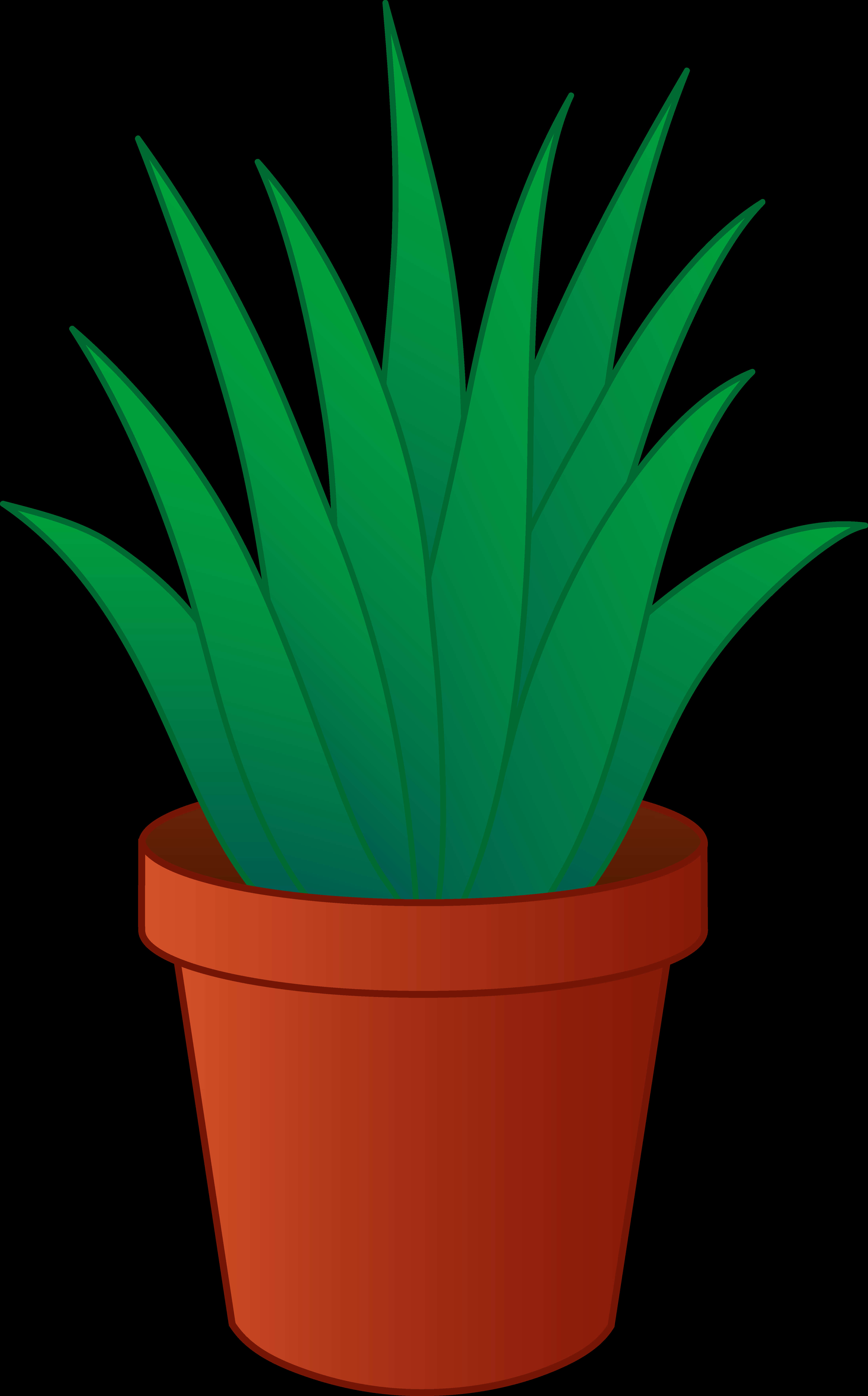 Green Plantin Terra Cotta Pot Illustration PNG