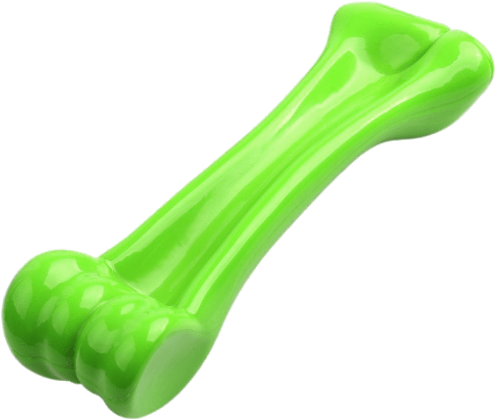 Green Plastic Dog Bone Toy PNG