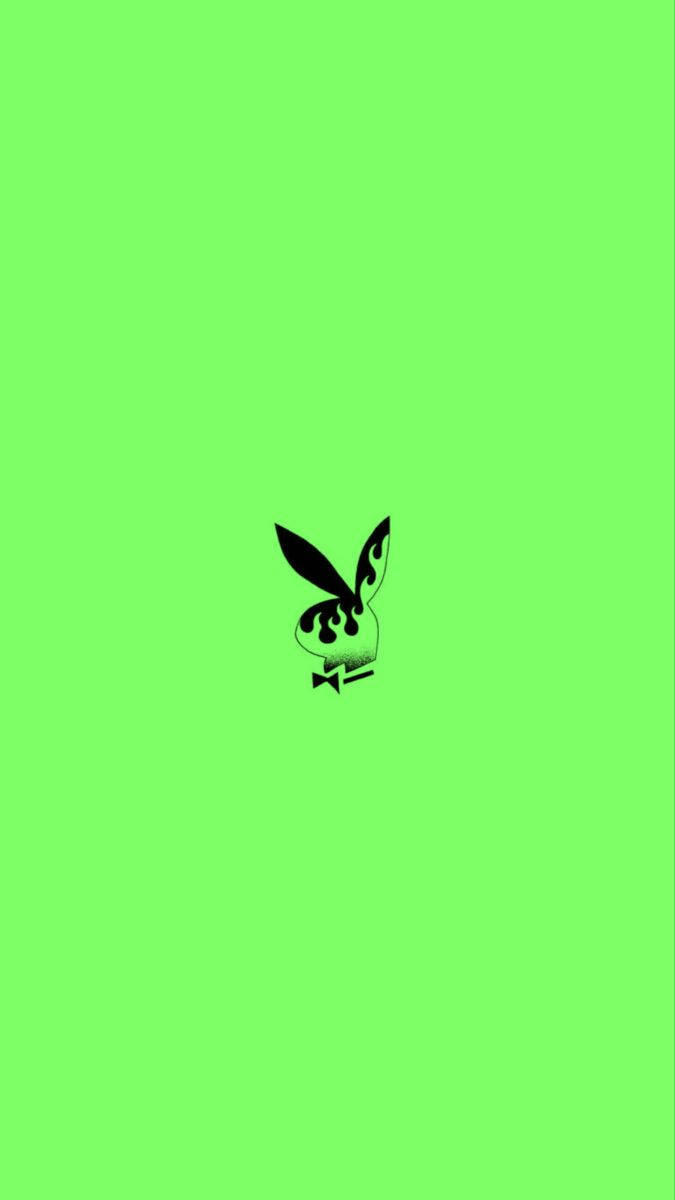 Green Playboy Bunny Wallpaper