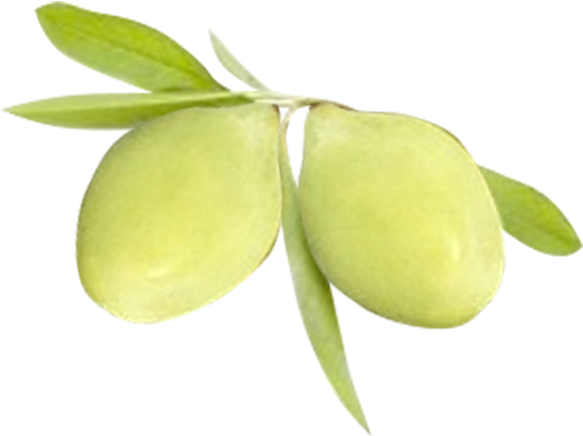 Green Plums With Leaves PNG