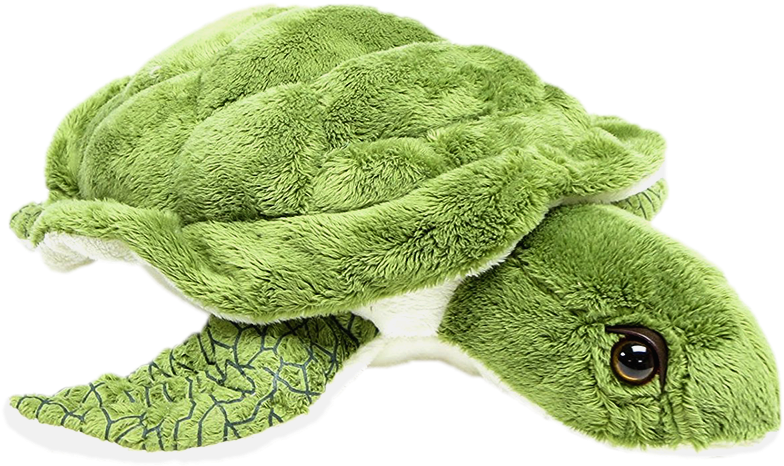 Green Plush Sea Turtle Toy PNG