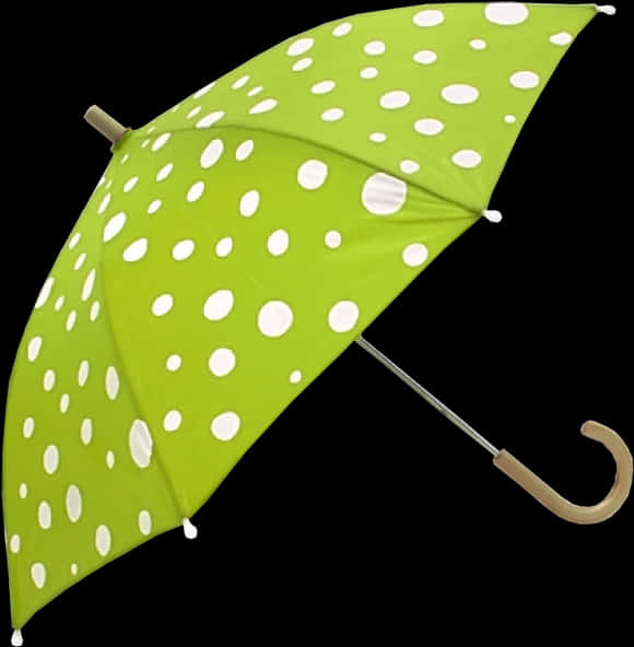 Green Polka Dot Umbrella PNG