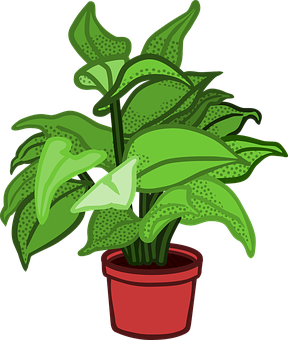 Green Potted Plant Illustration PNG