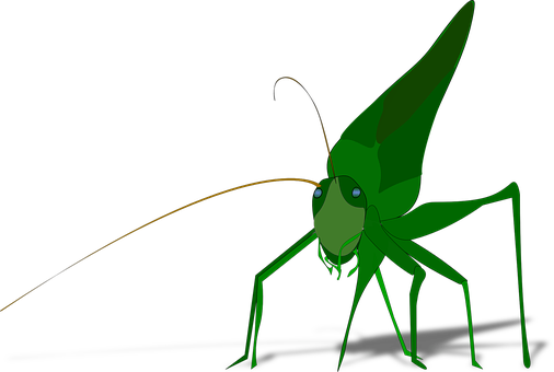 Green Praying Mantis Illustration PNG