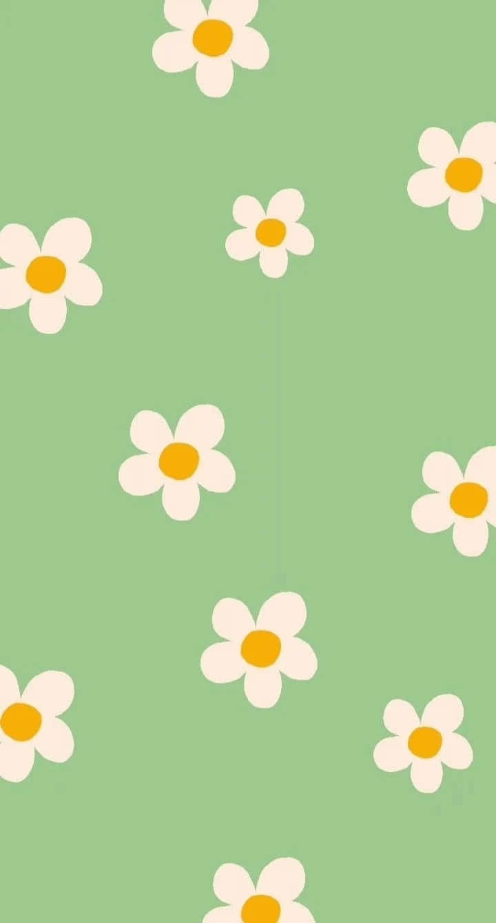 Green Preppy Daisy Pattern Wallpaper