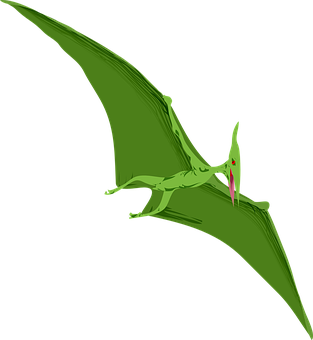Green Pterosaur Illustration PNG