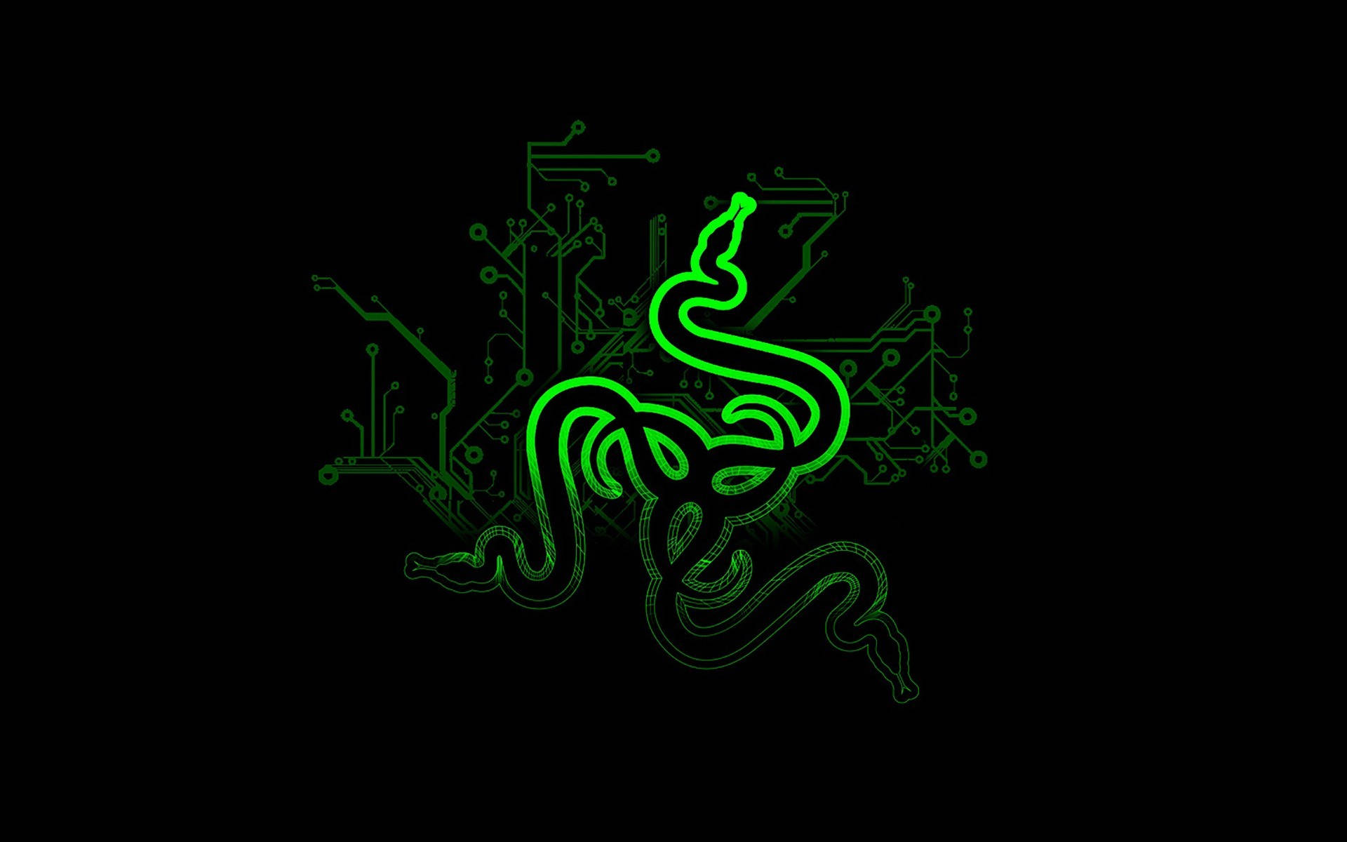 Green Razer Pc Logo Art Wallpaper