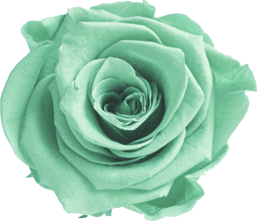 Green Rose Flower PNG