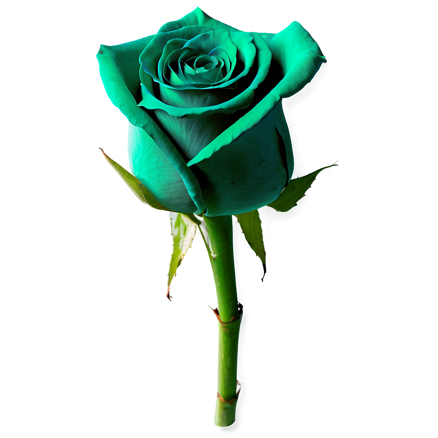 Green Roses Nature Png 05042024 PNG