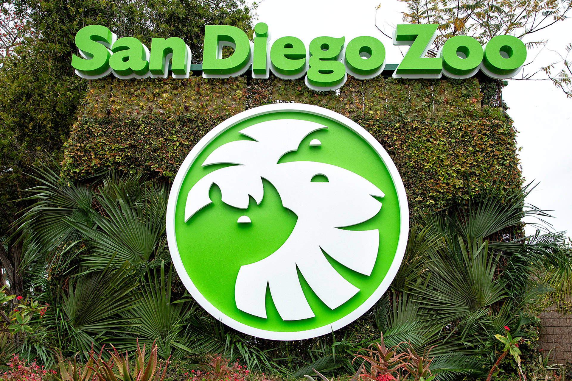 Green San Diego Zoo Sign Wallpaper