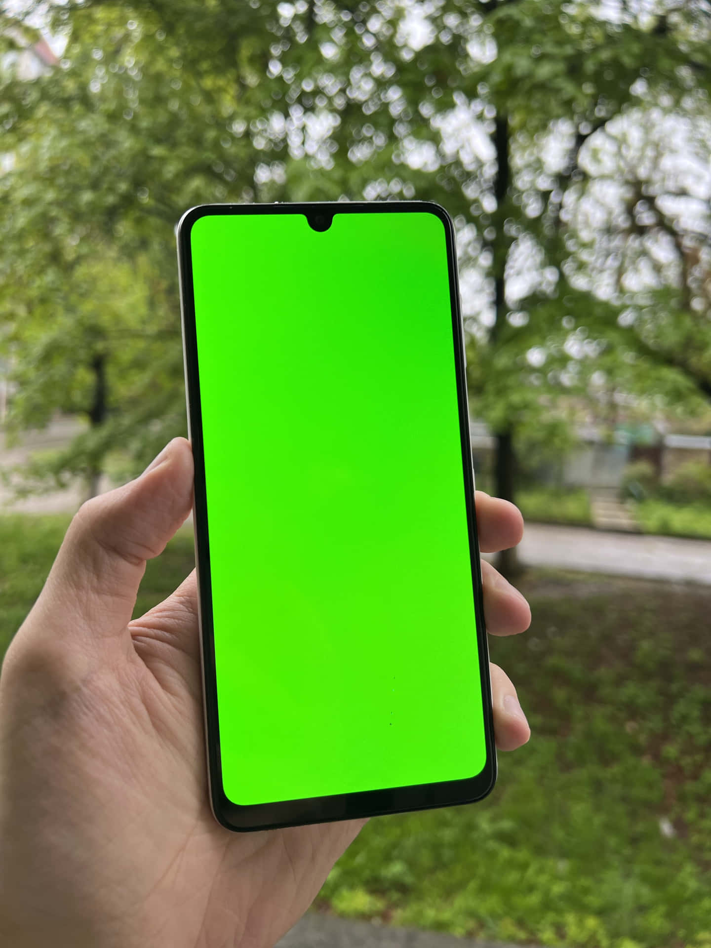A Person Holding Up A Green Screen Smartphone