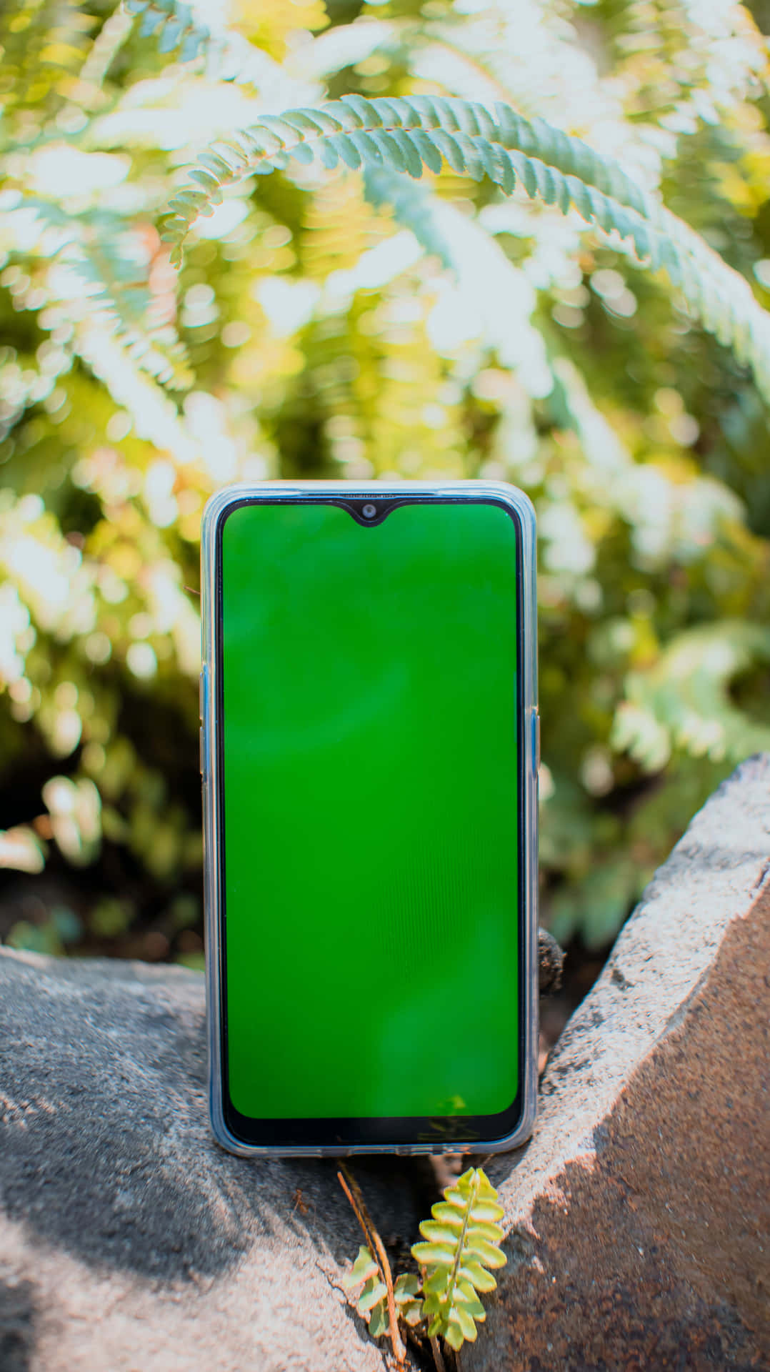 A Green Screen On A Phone