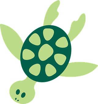 Green Sea Turtle Illustration PNG