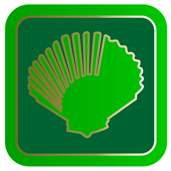Green Shell Logo Icon PNG