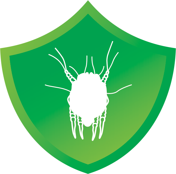 Green Shield Virus Icon PNG