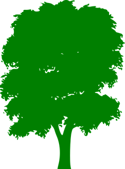 Green Silhouette Treeon Black Background PNG