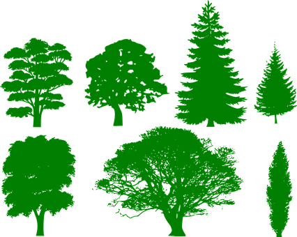 Green Silhouette Trees Collection PNG