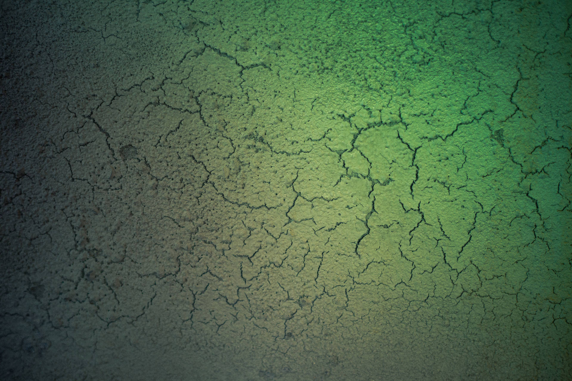Green Soil Cracks Grunge Texture Wallpaper