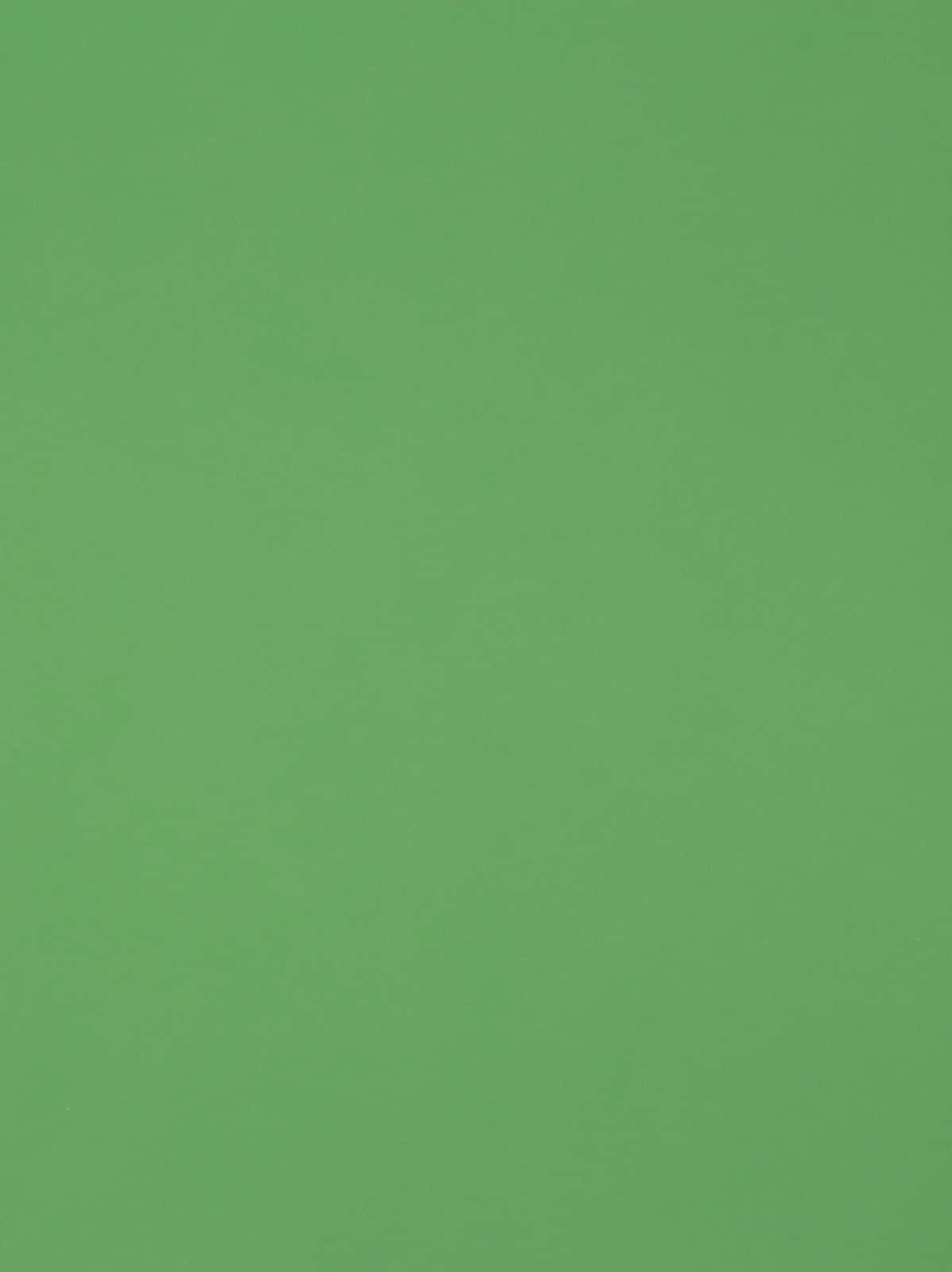 Vibrant Green Solid Background Wallpaper