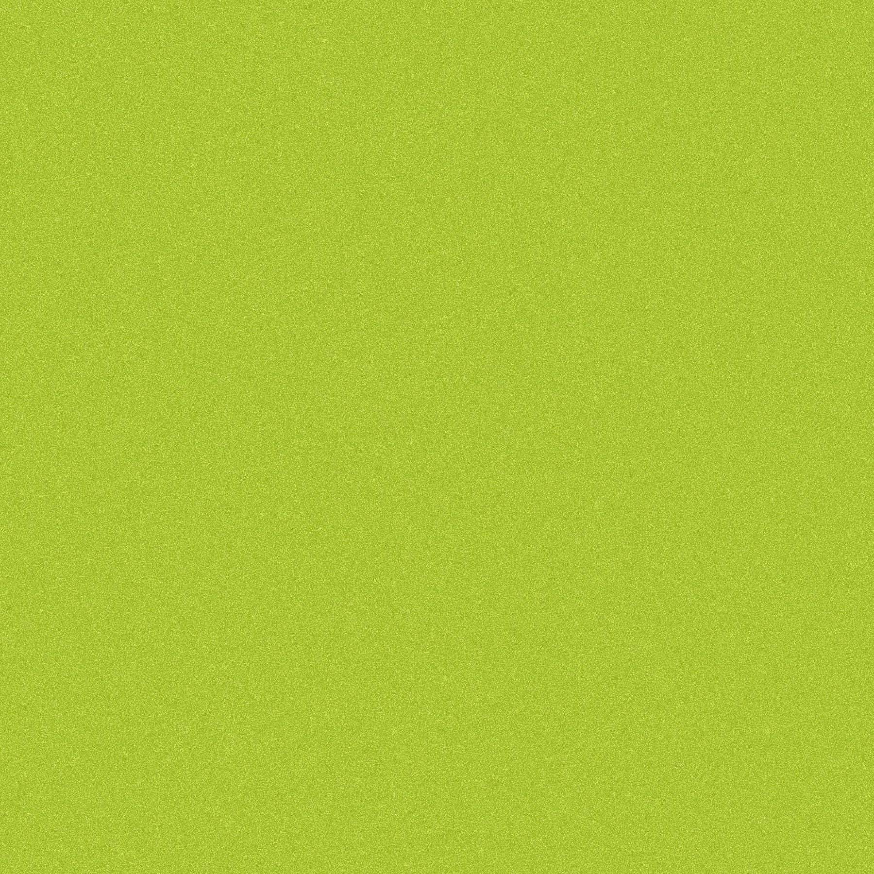 Vibrant Green Solid Color Background Wallpaper