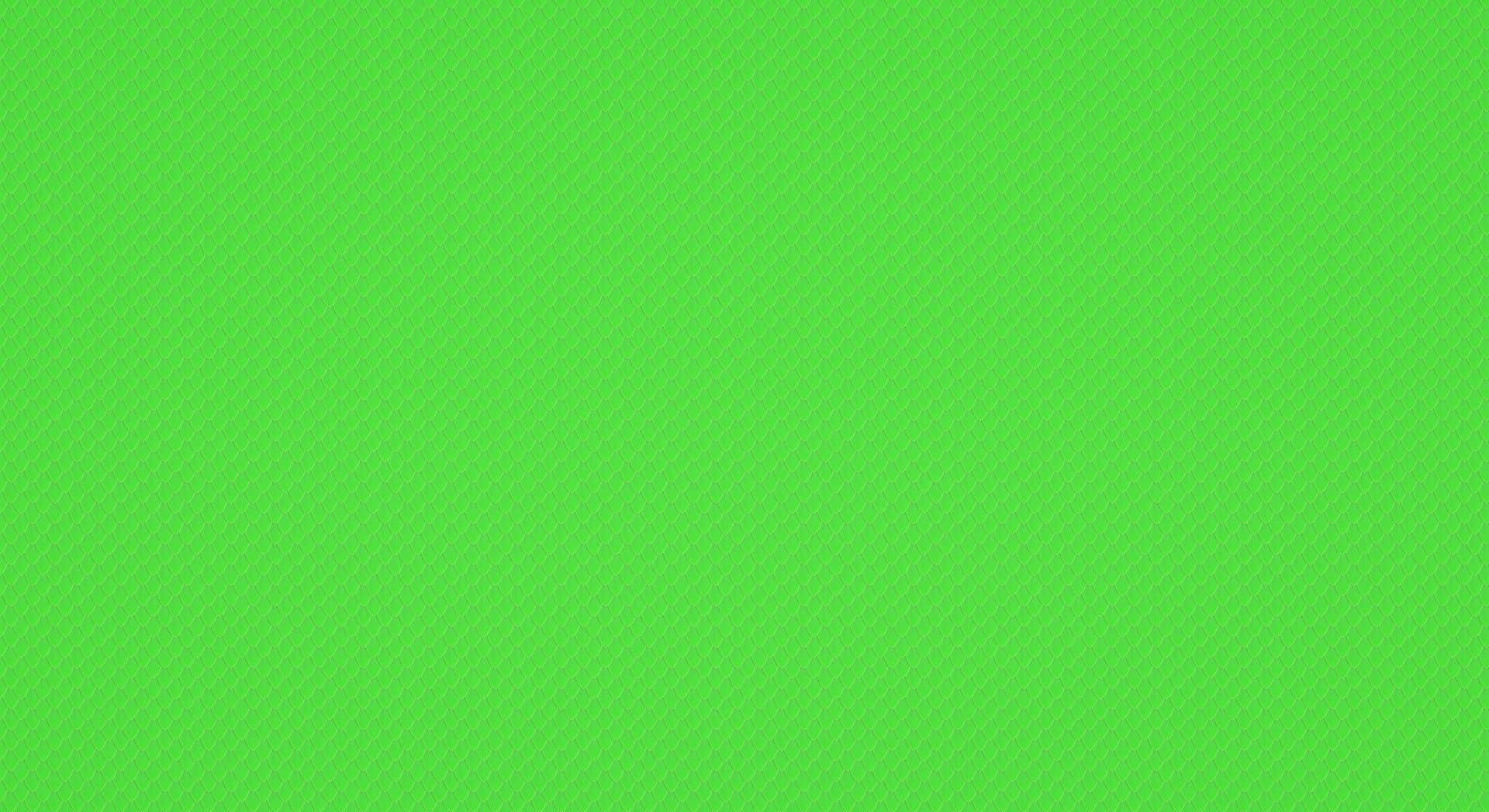 Vibrant Green Solid Color Wallpaper Wallpaper