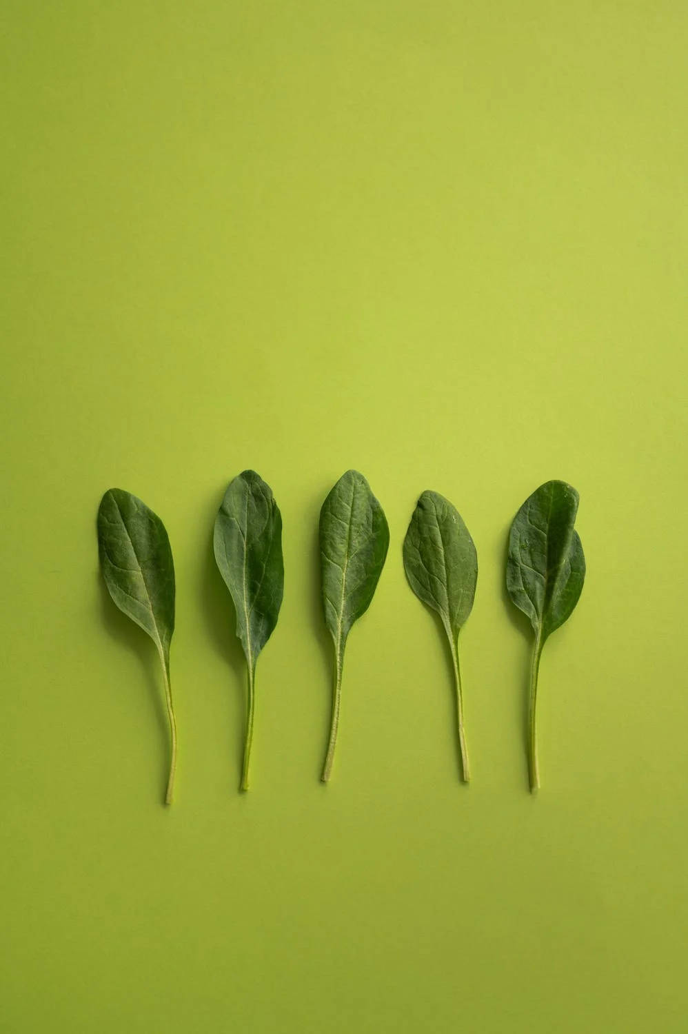 Green Spinach Wallpaper