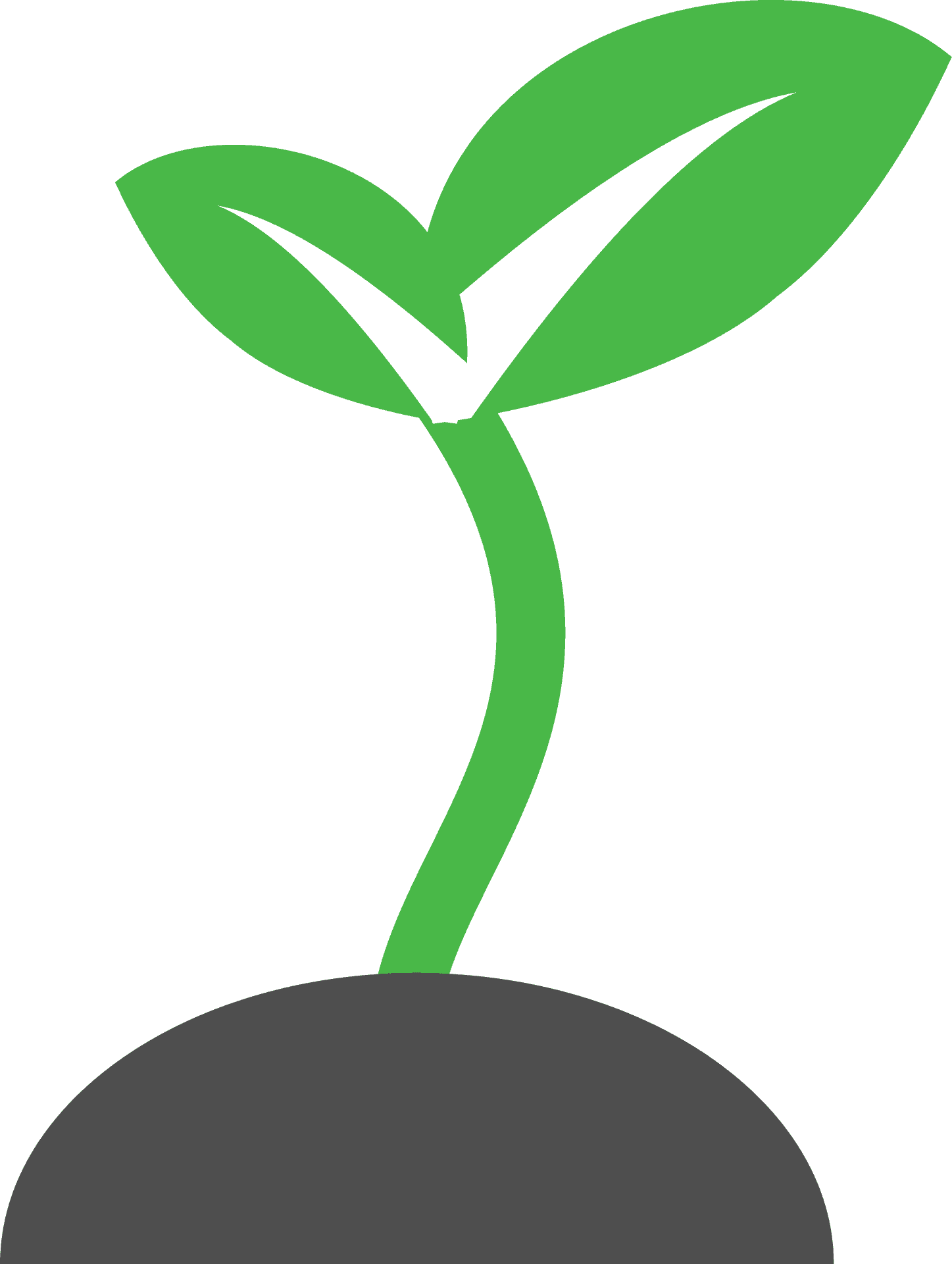 Green Sprout Growth Graphic PNG
