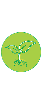 Green Sprout Icon PNG