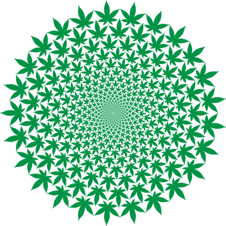 Green Starburst Pattern PNG